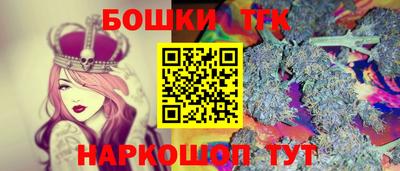 бошки Кингисепп