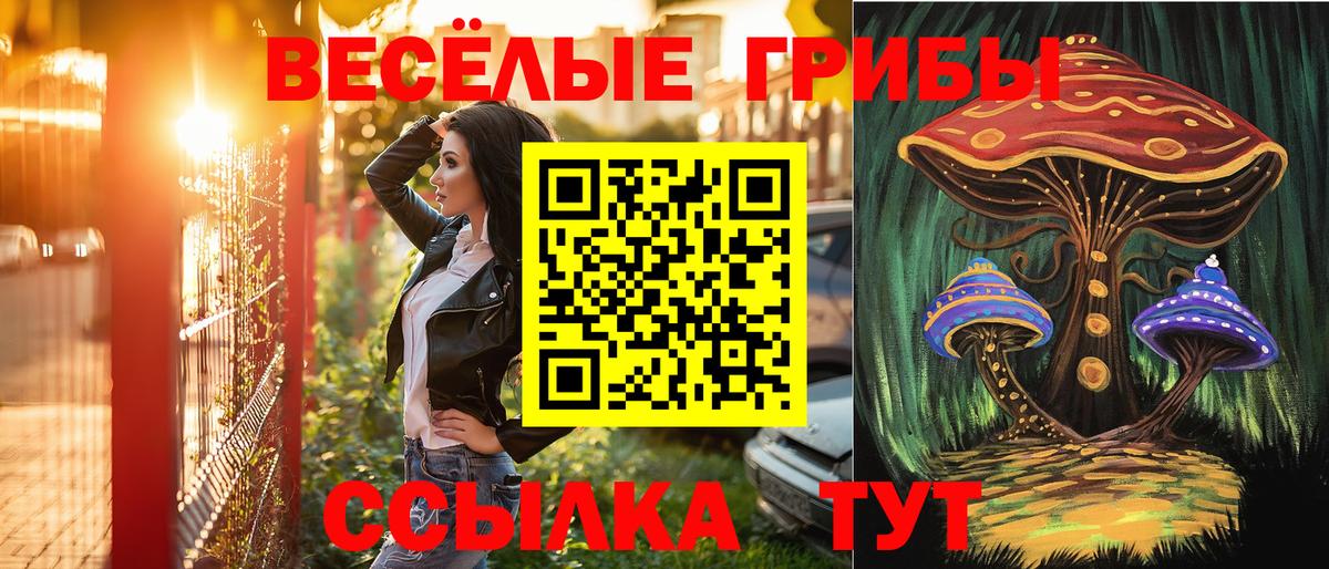 Галлюциногенные грибы Psilocybe  Вход с VPN  Лыткарино 